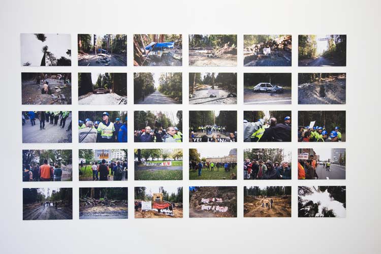 landscape-install-2