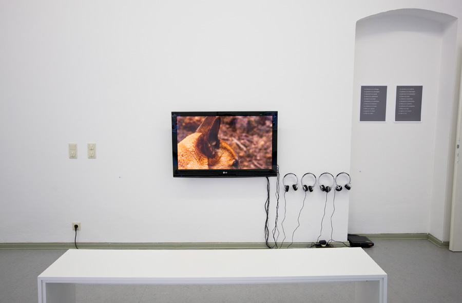 passive-install