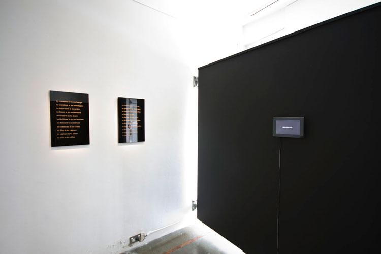portrait-install